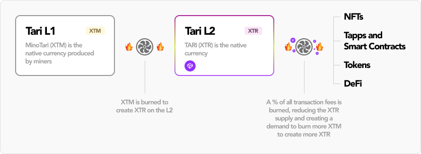 Tari dual-layer architecture overview (Minotari L1 and L2 assets)